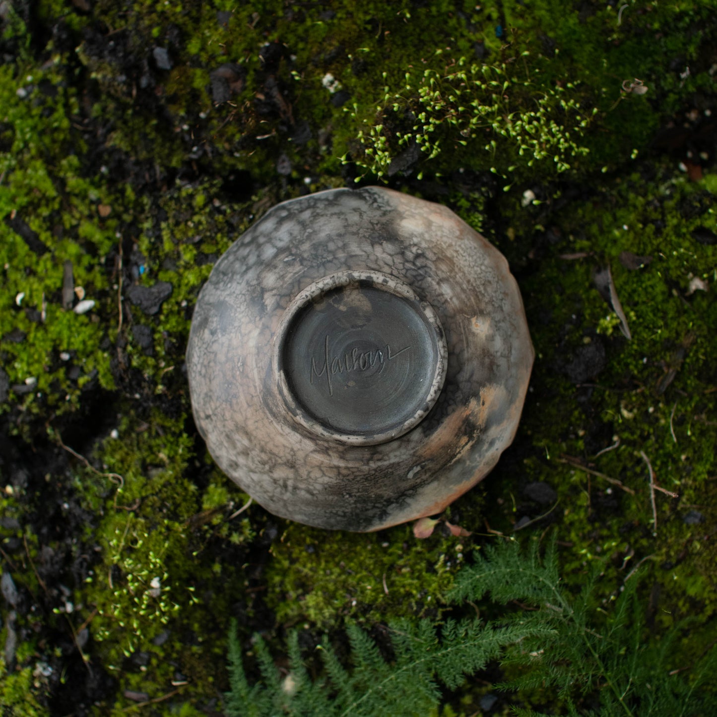 Lotus Dish A