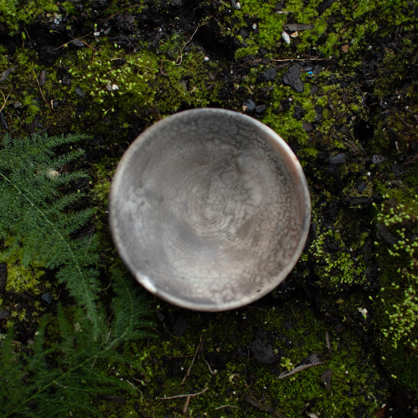 Bowl B