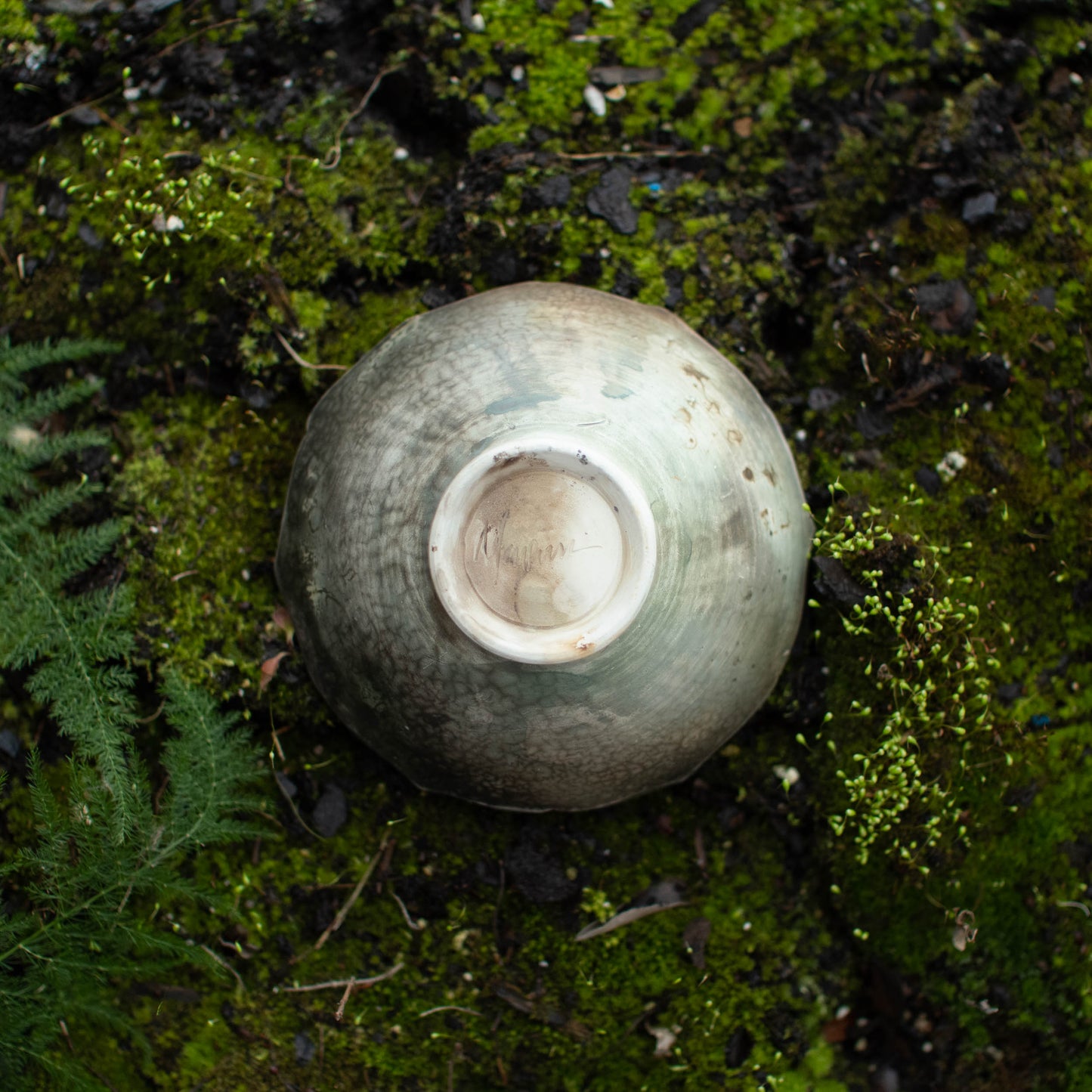 Lotus Dish B