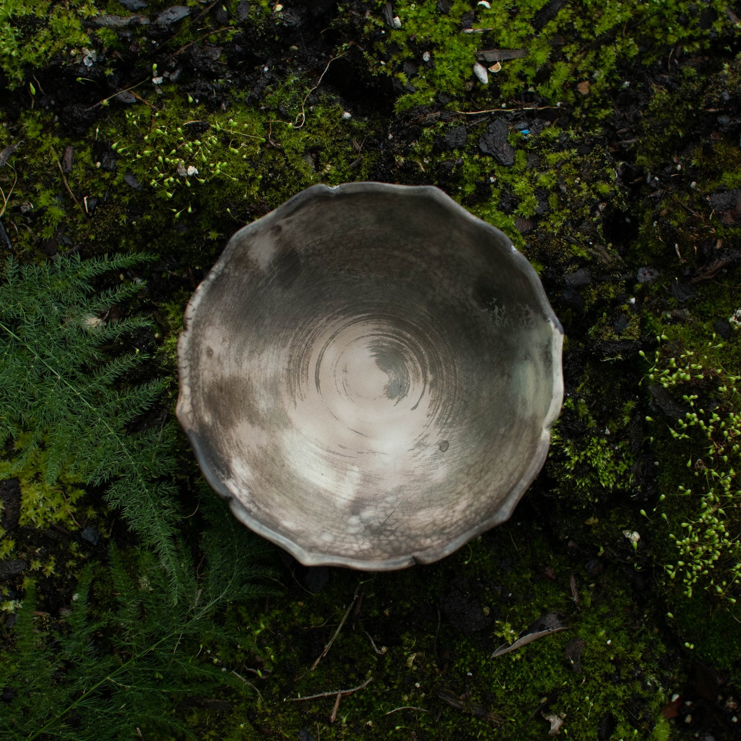 Lotus Dish B