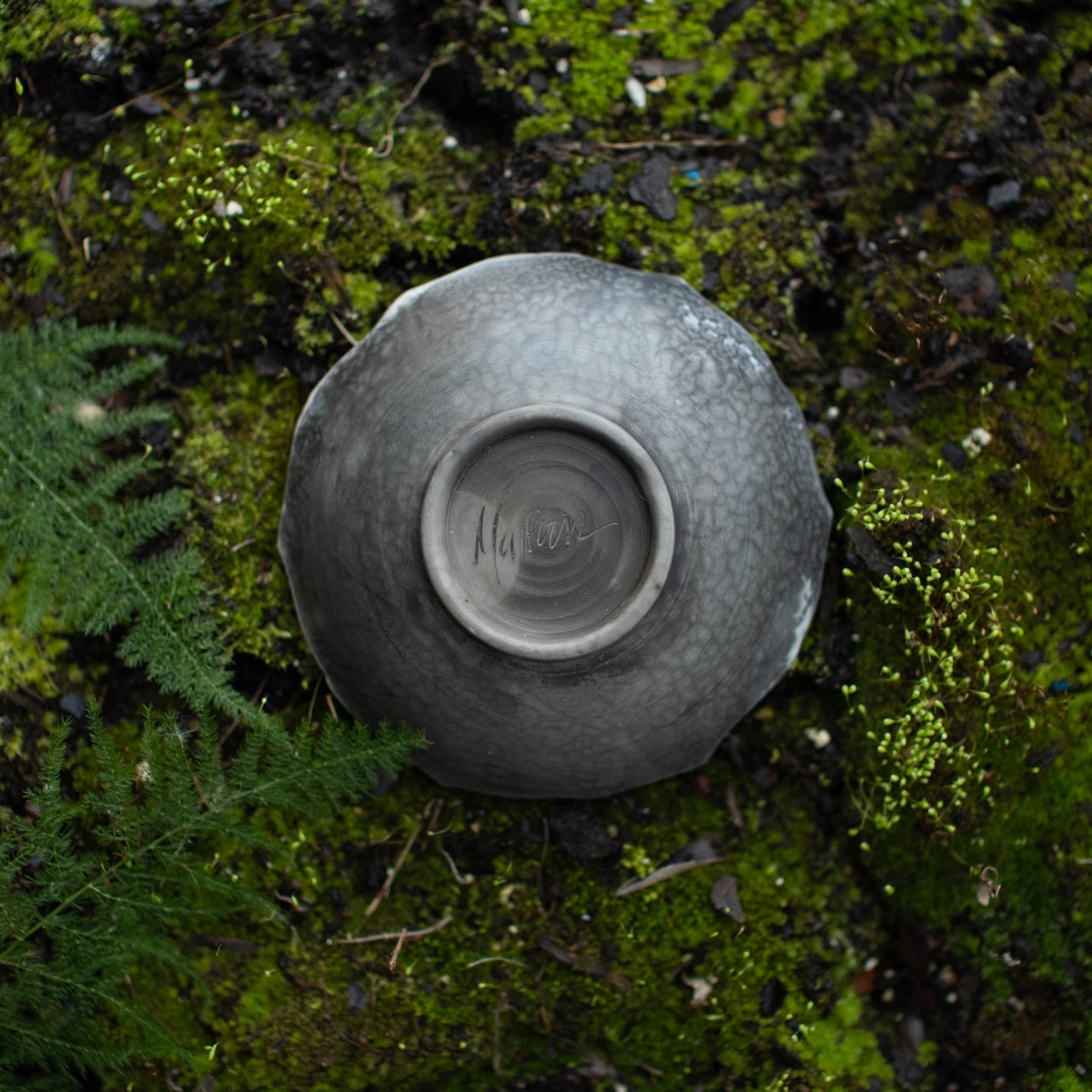 Lotus Dish C