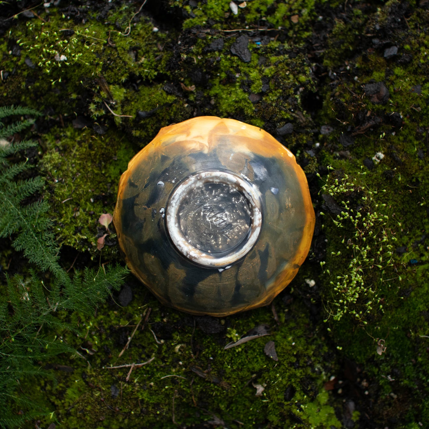 Lotus Dish D