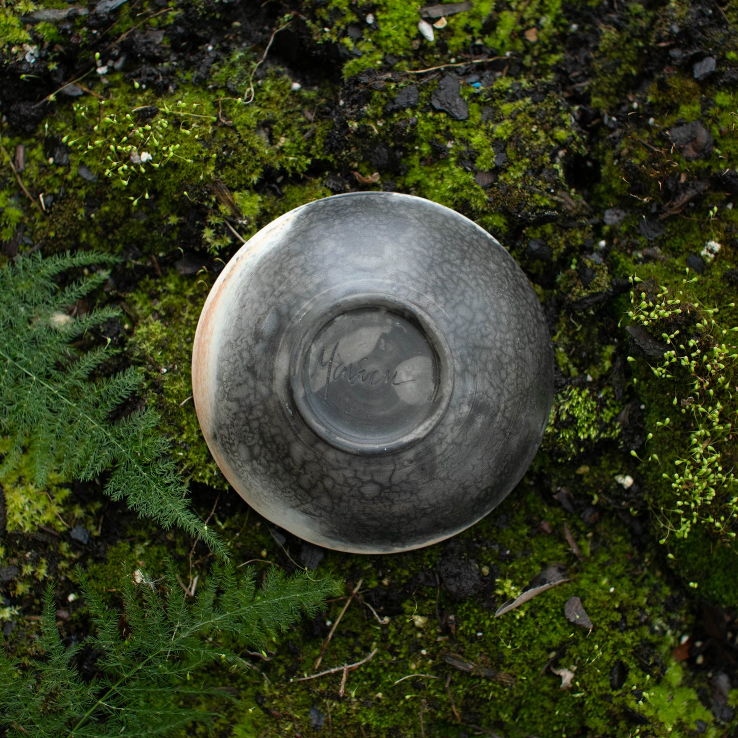 Bowl F