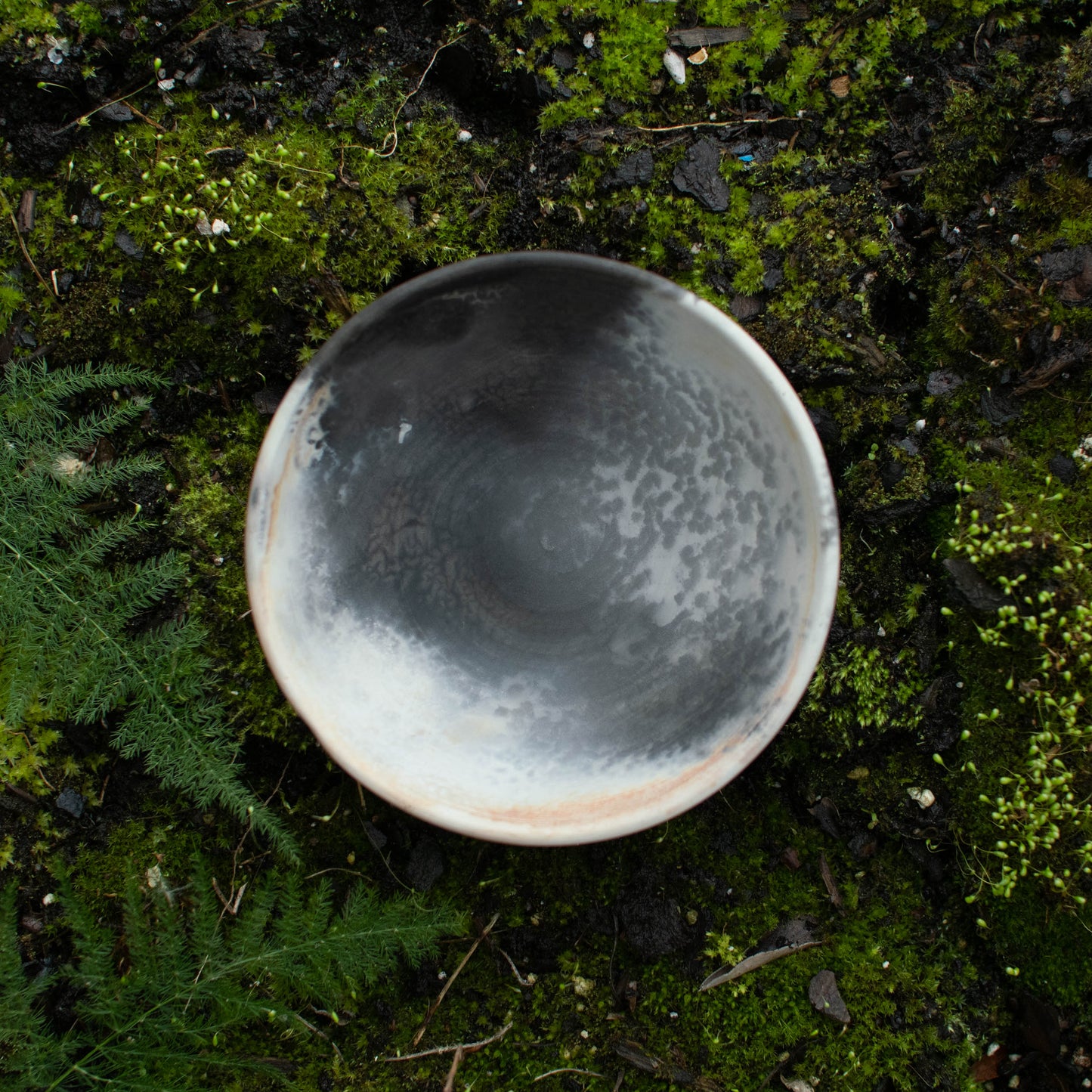 Bowl F