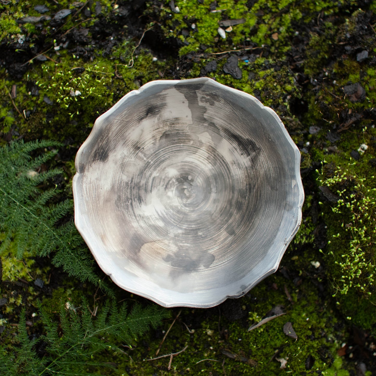 Lotus Dish F