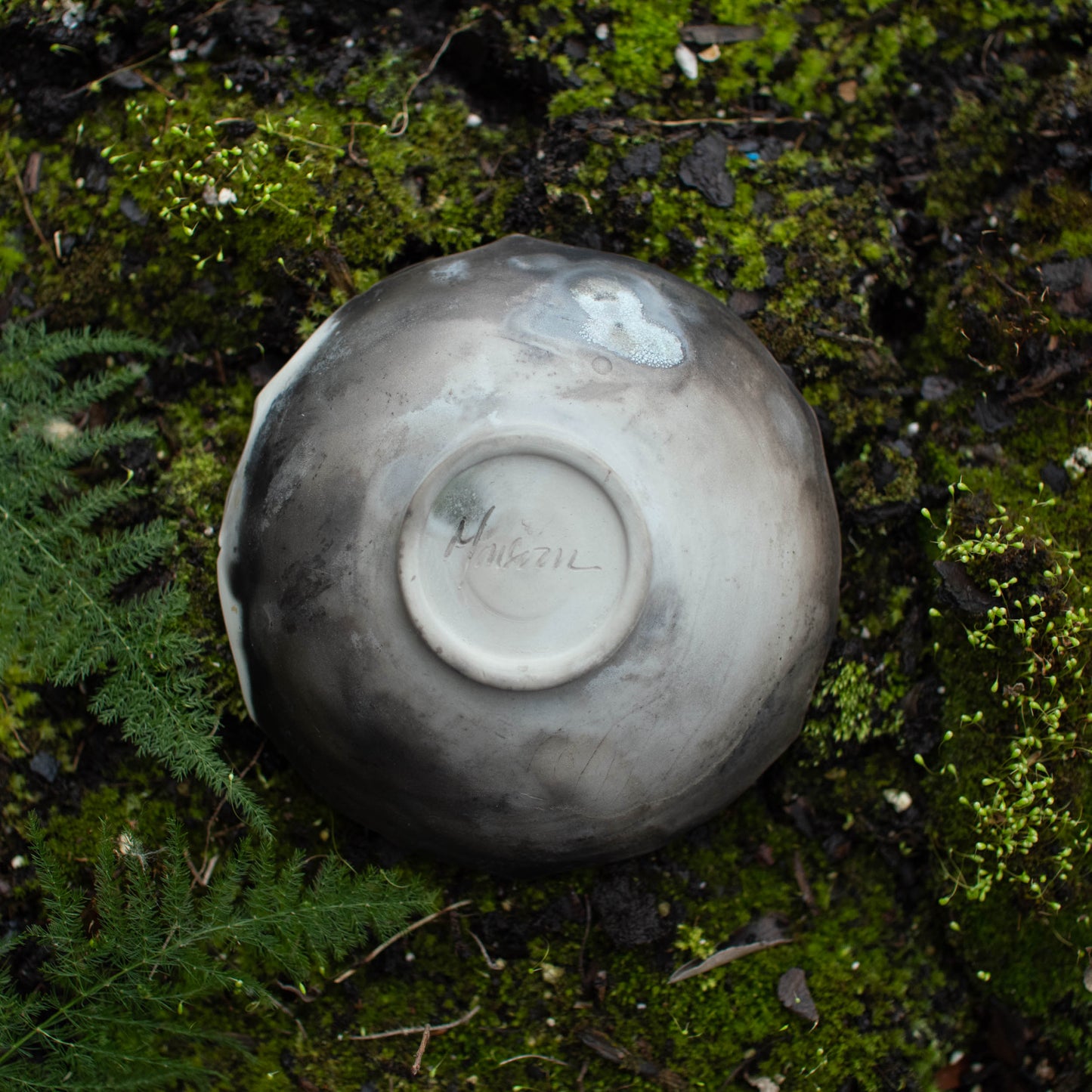 Lotus Dish G