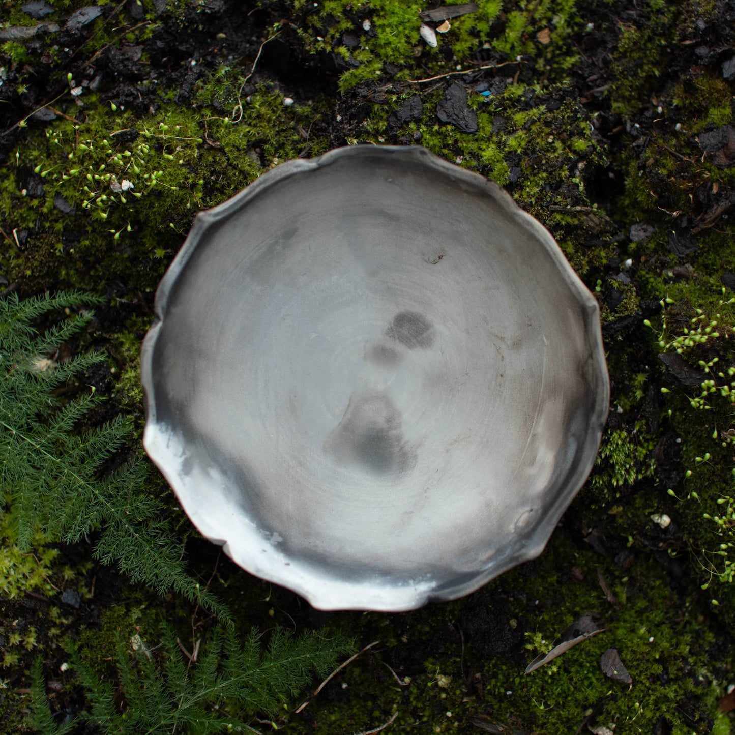 Lotus Dish G