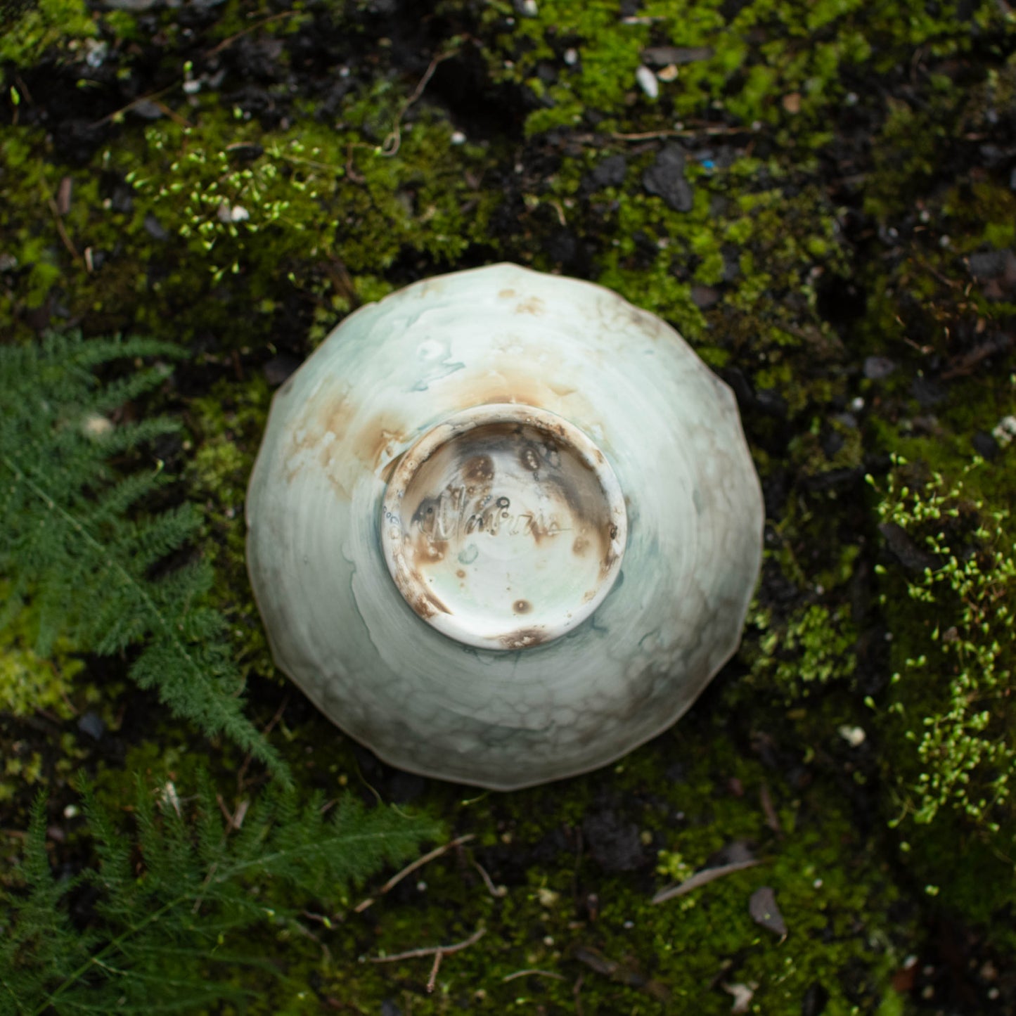 Lotus Dish H