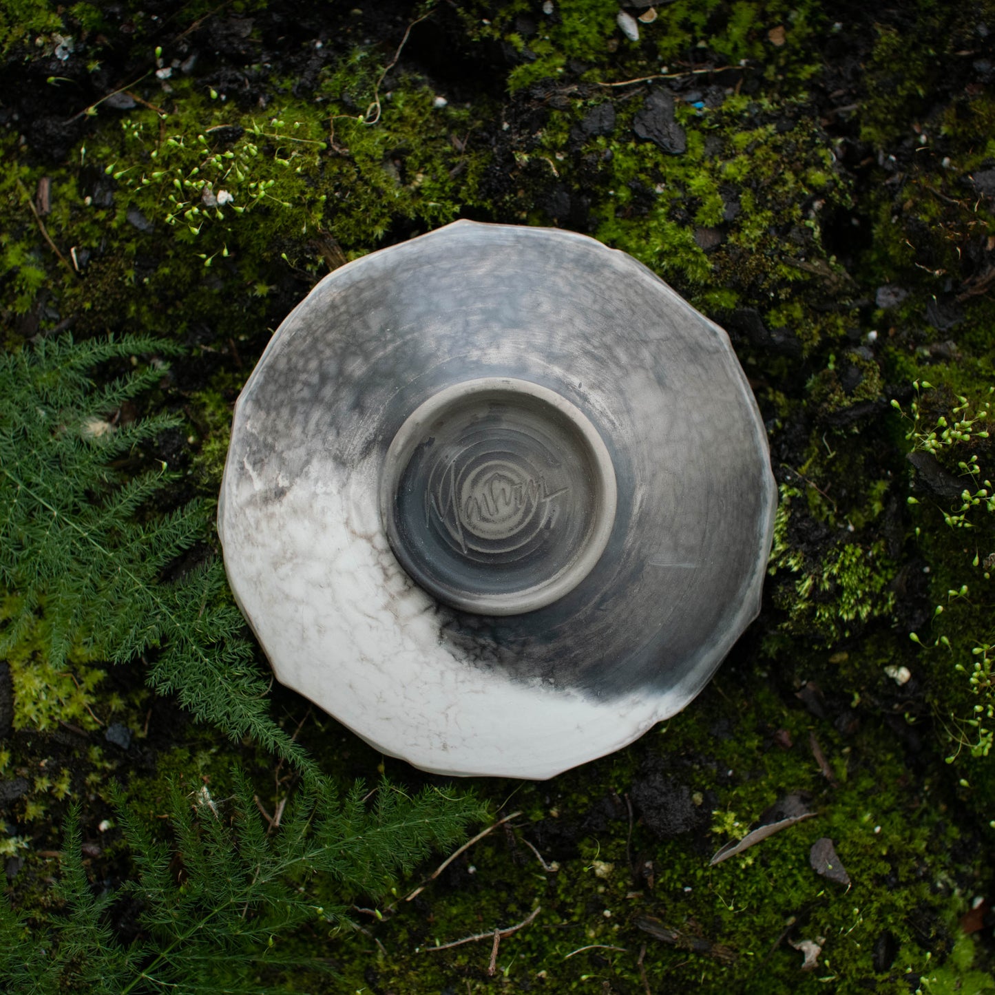 Lotus Dish I