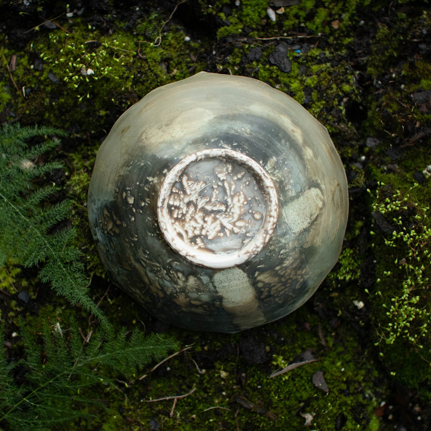 Lotus Dish J
