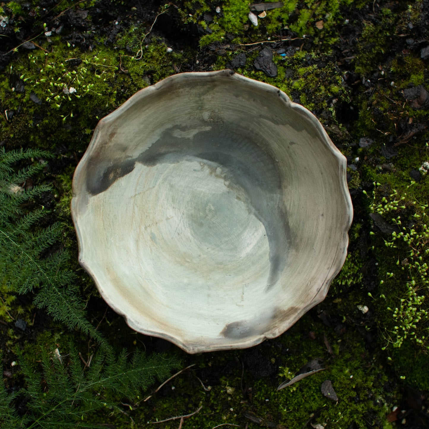 Lotus Dish J