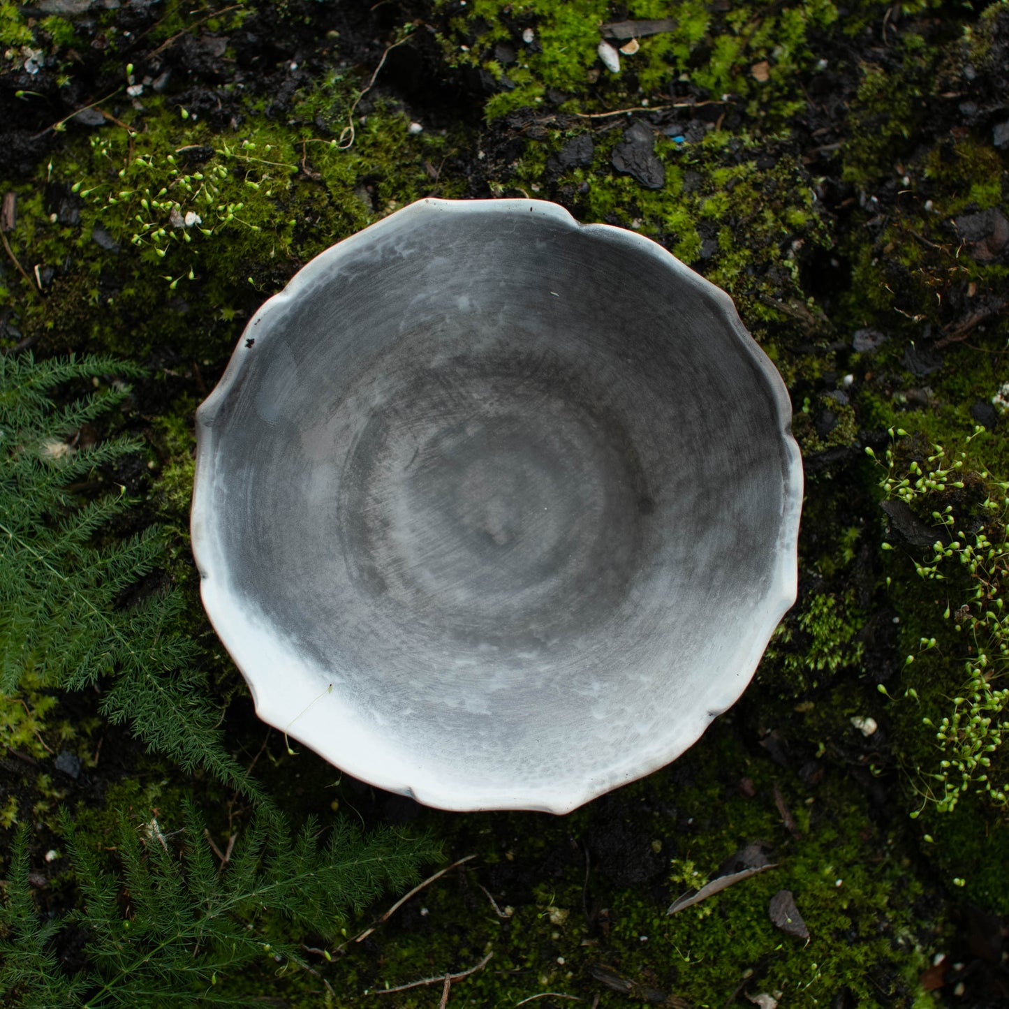 Lotus Dish K