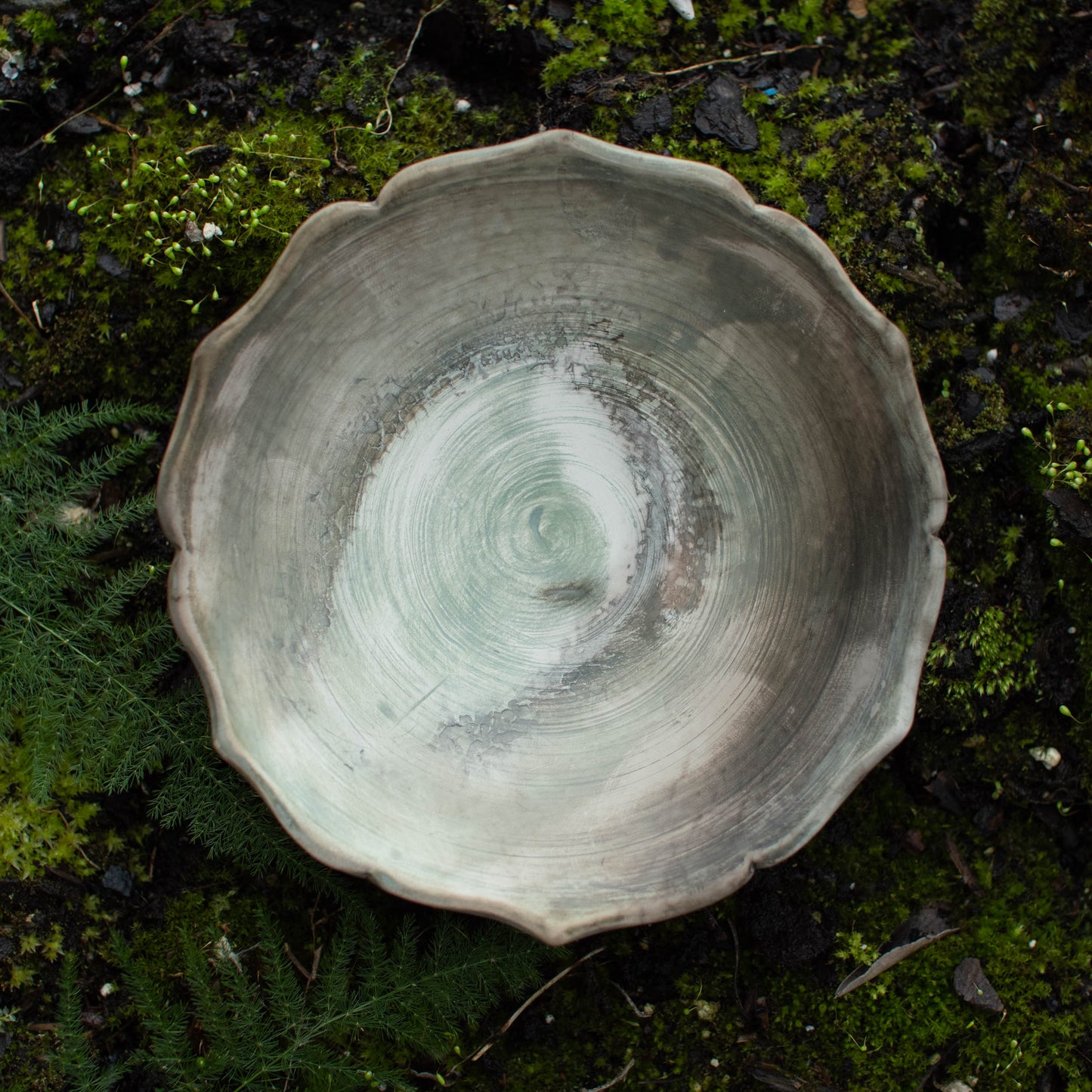 Lotus Dish L