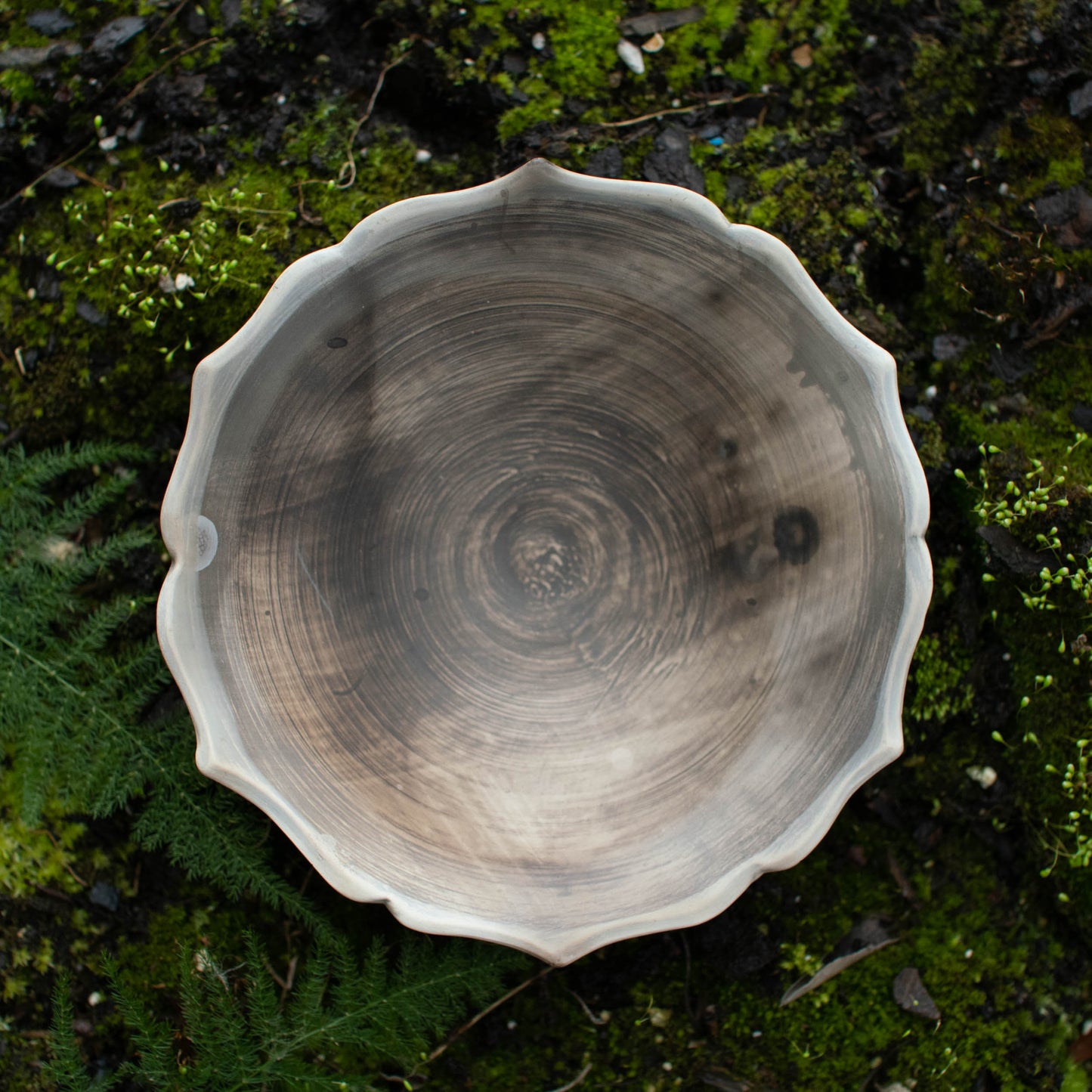 Lotus Dish M