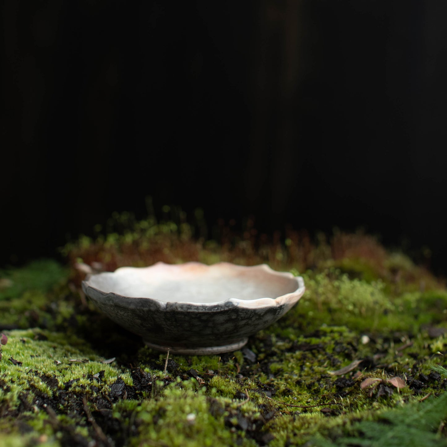 Lotus Dish A