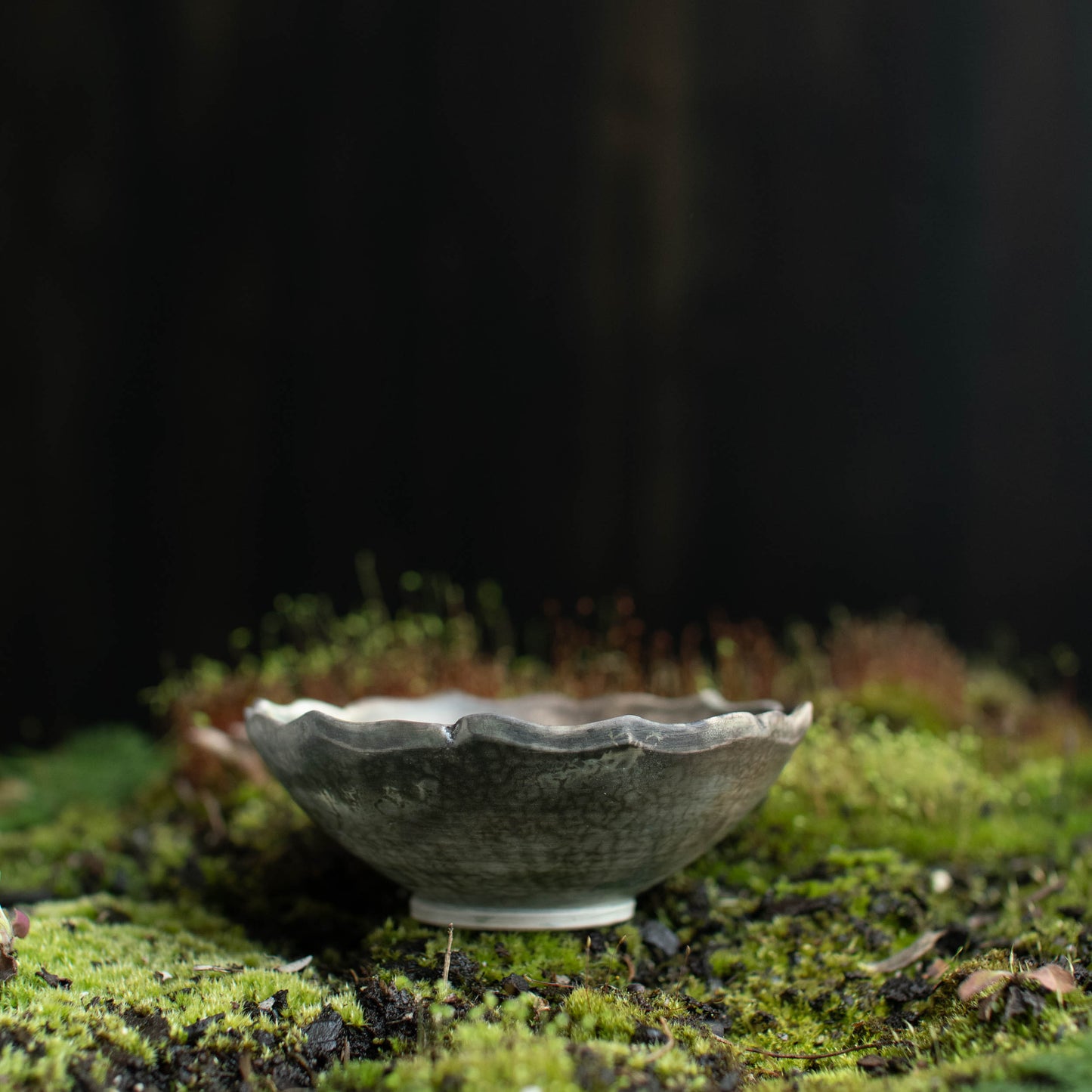 Lotus Dish B