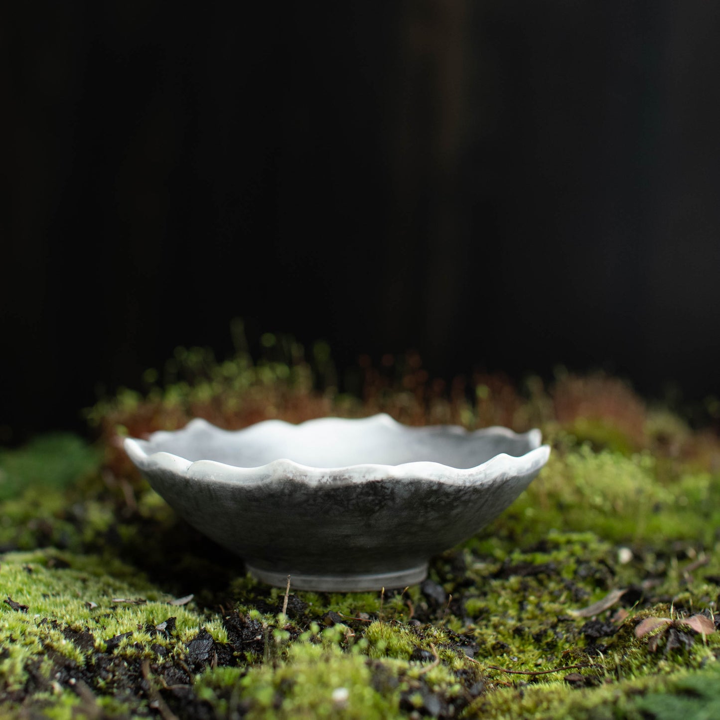 Lotus Dish C