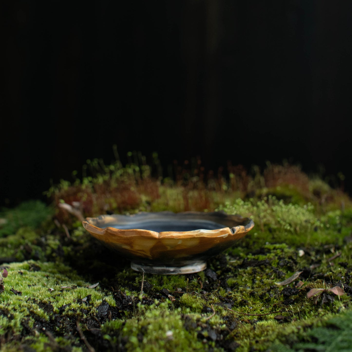 Lotus Dish D