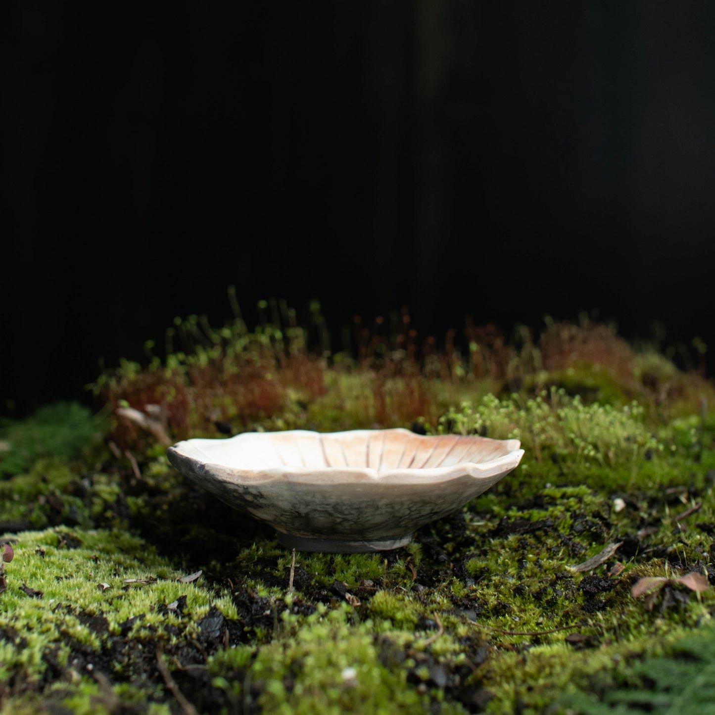 Lotus Dish E