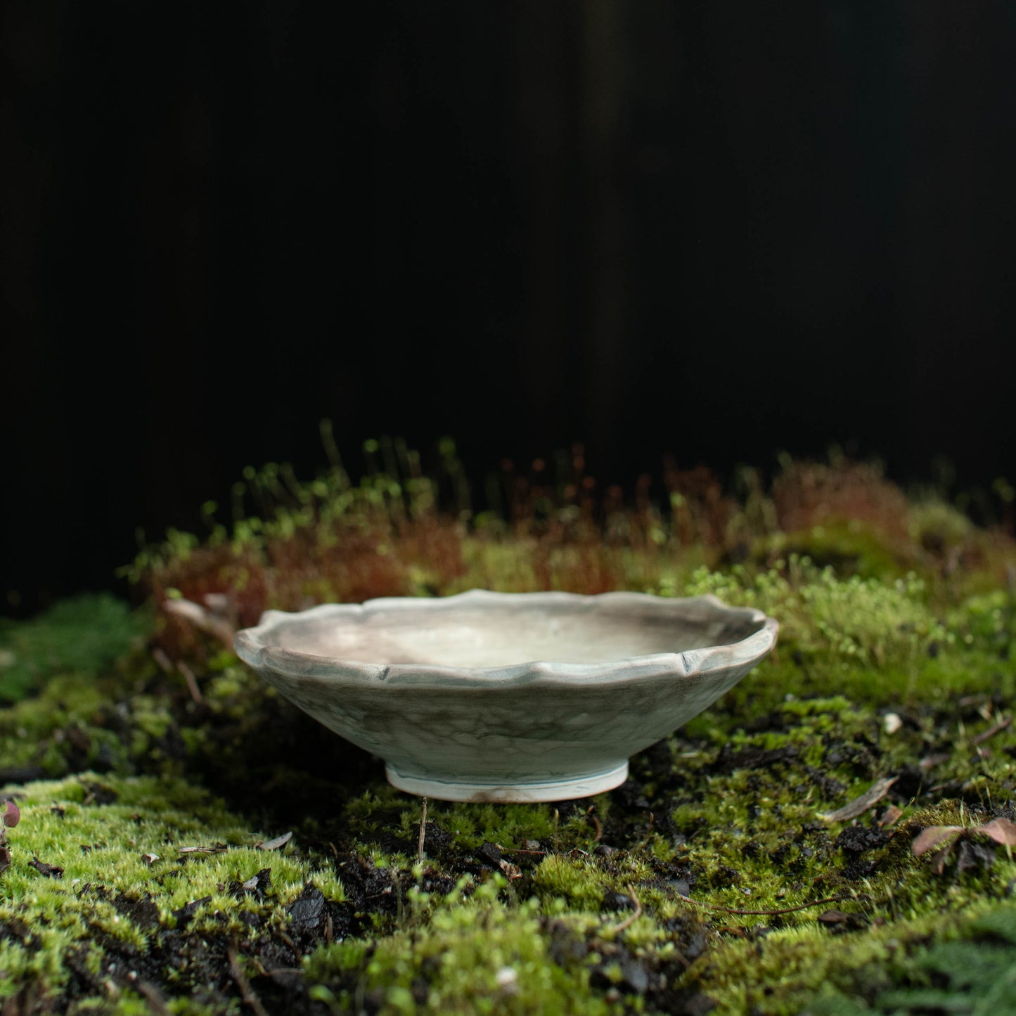 Lotus Dish H