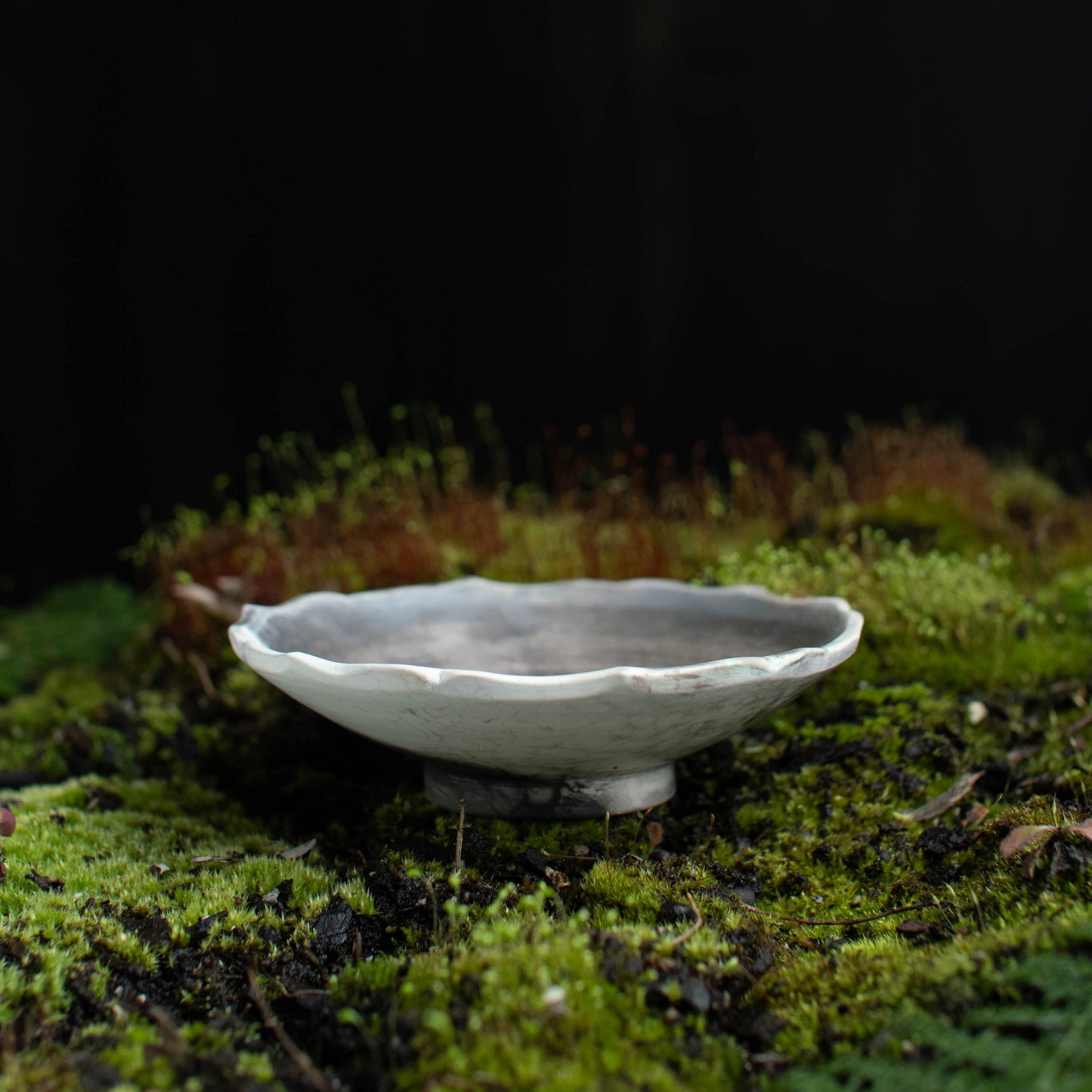 Lotus Dish I