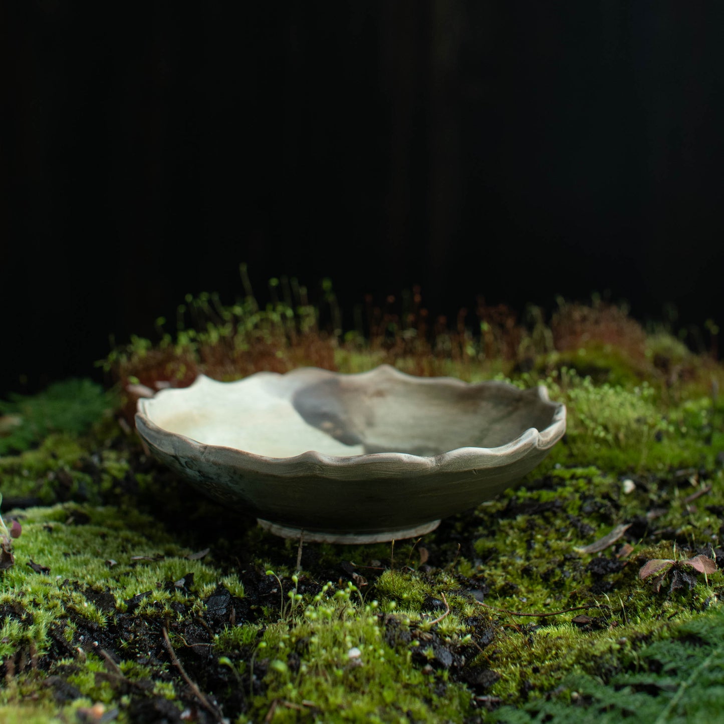 Lotus Dish J