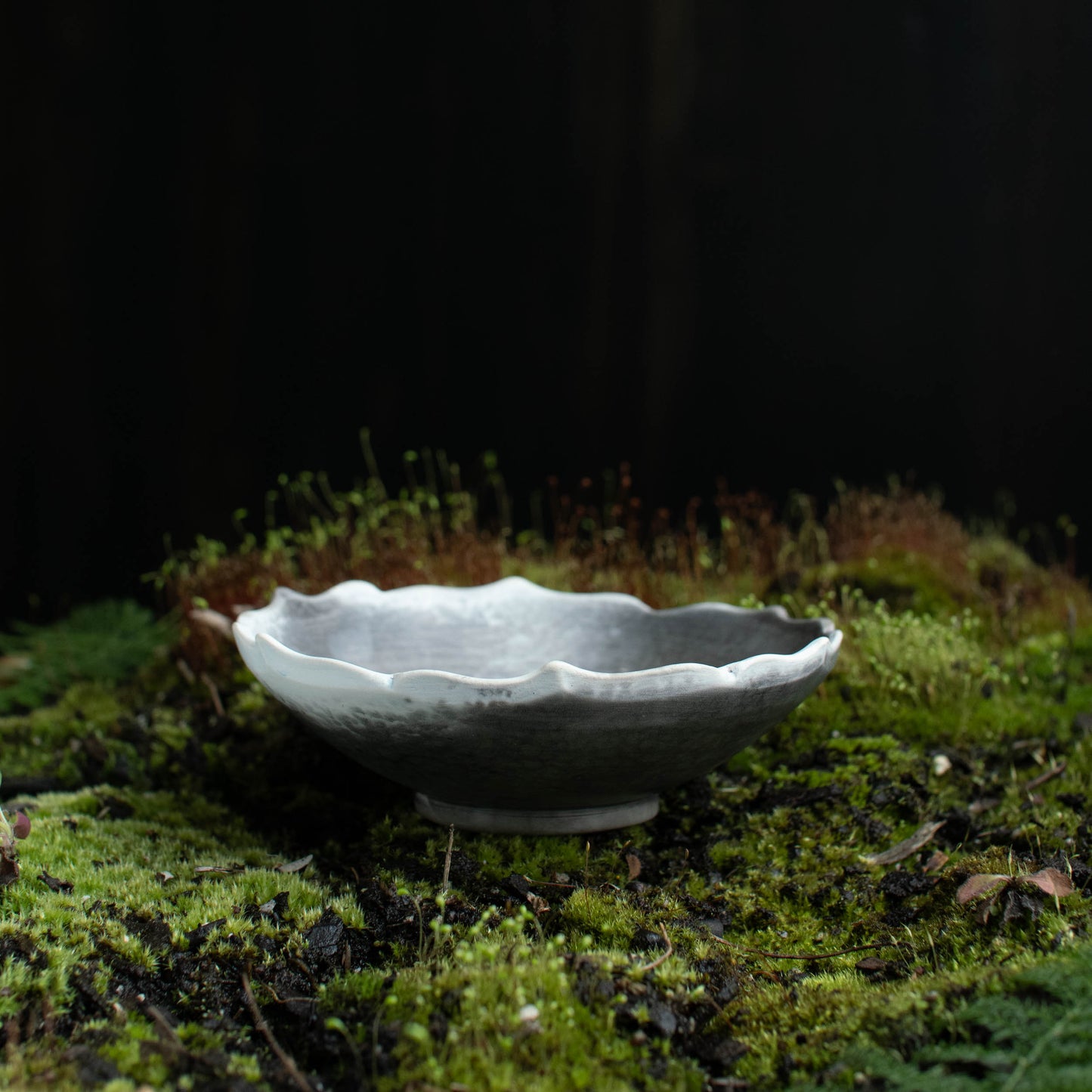 Lotus Dish K