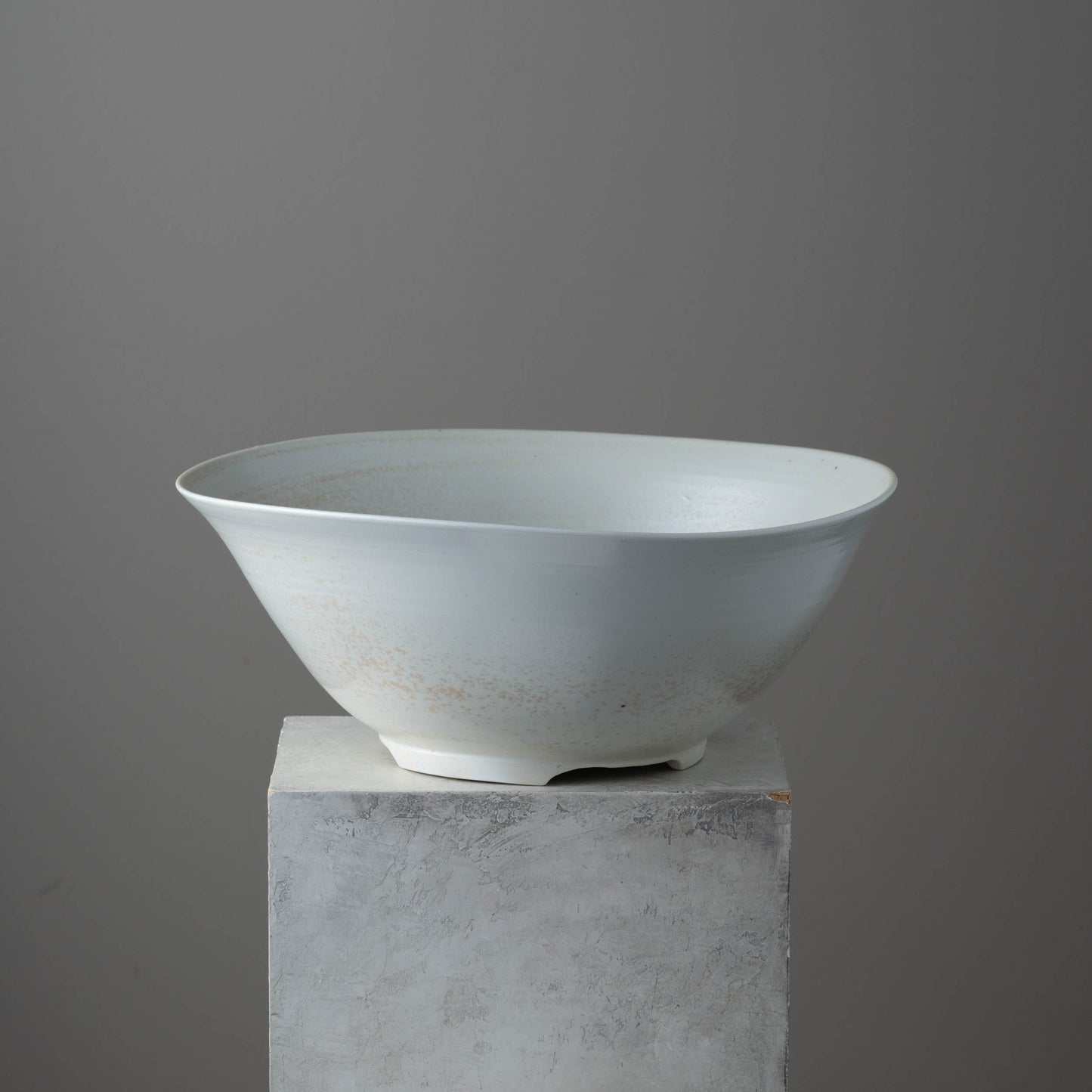Porcelain Bowl