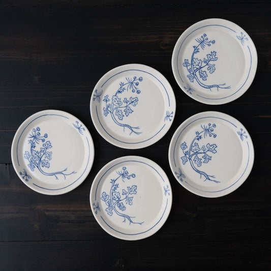 Cilantro Catchall