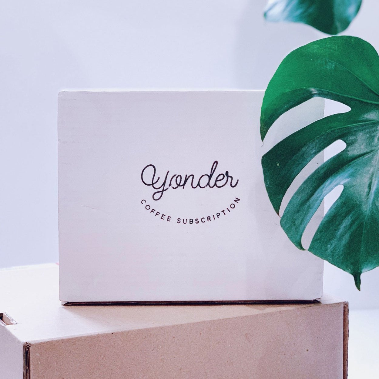 Yonder Coffee Subscription