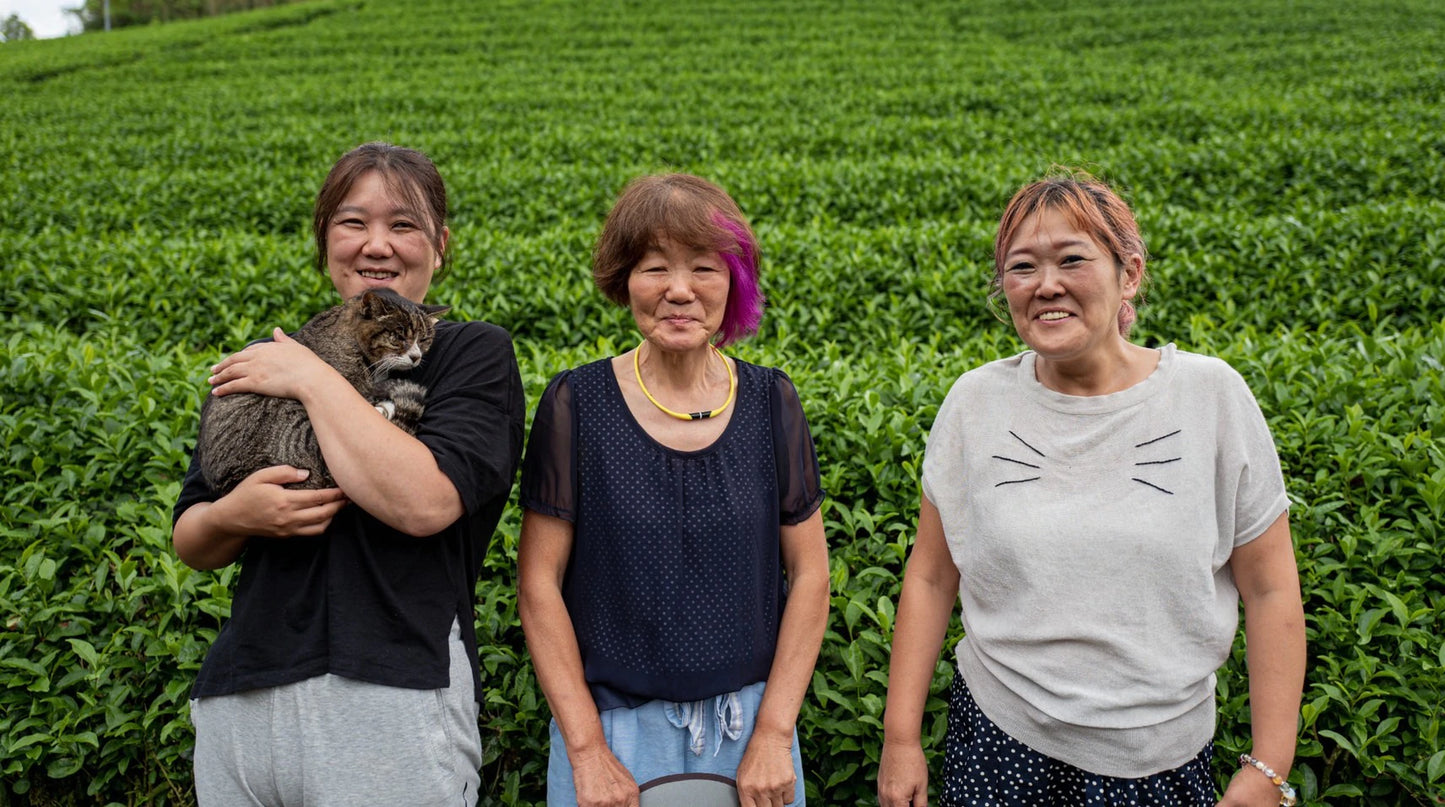 Matcha Wazuka | Ceremonial Grade