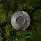 Lotus Dish A