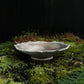 Lotus Dish M