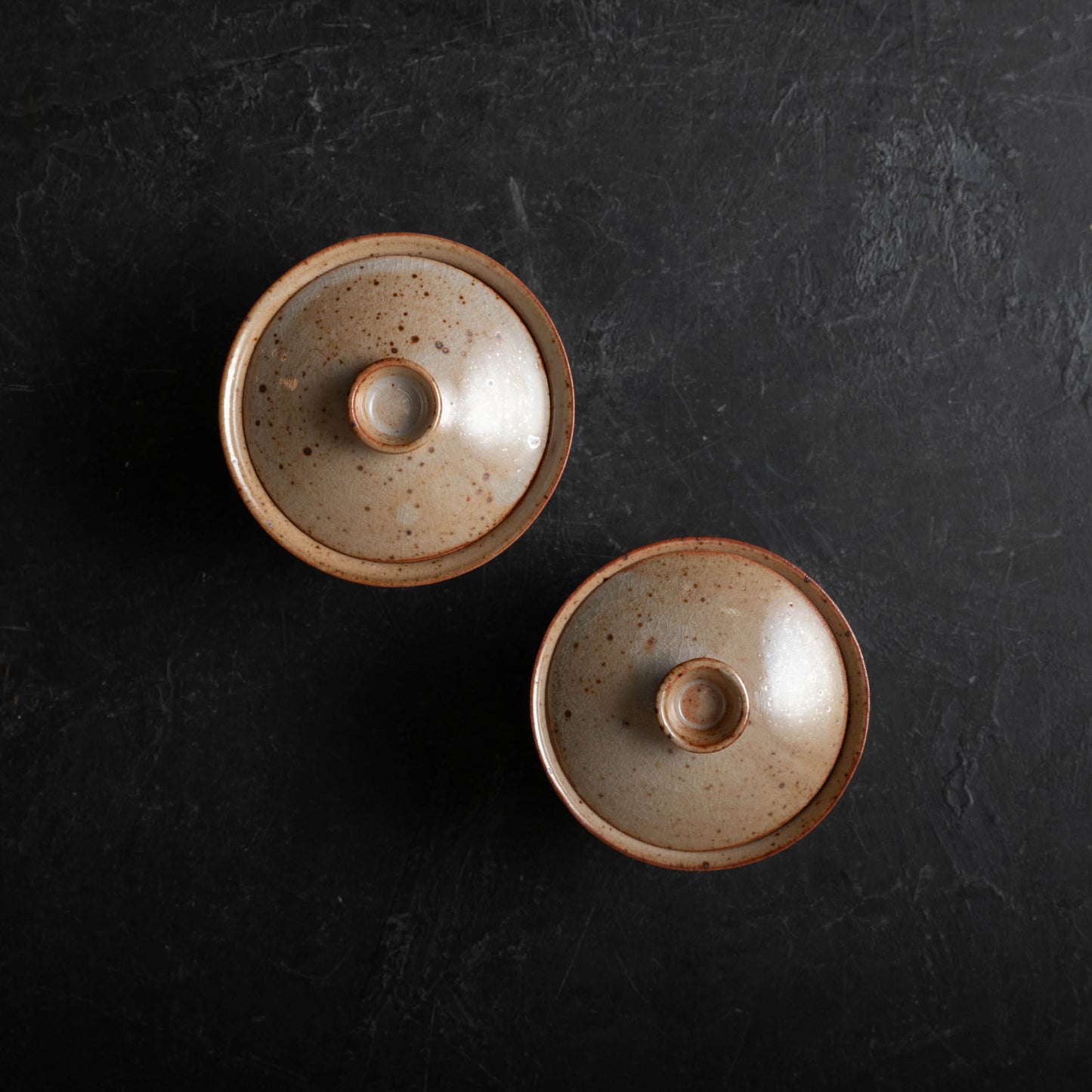 Shino Stoneware Gaiwan - B