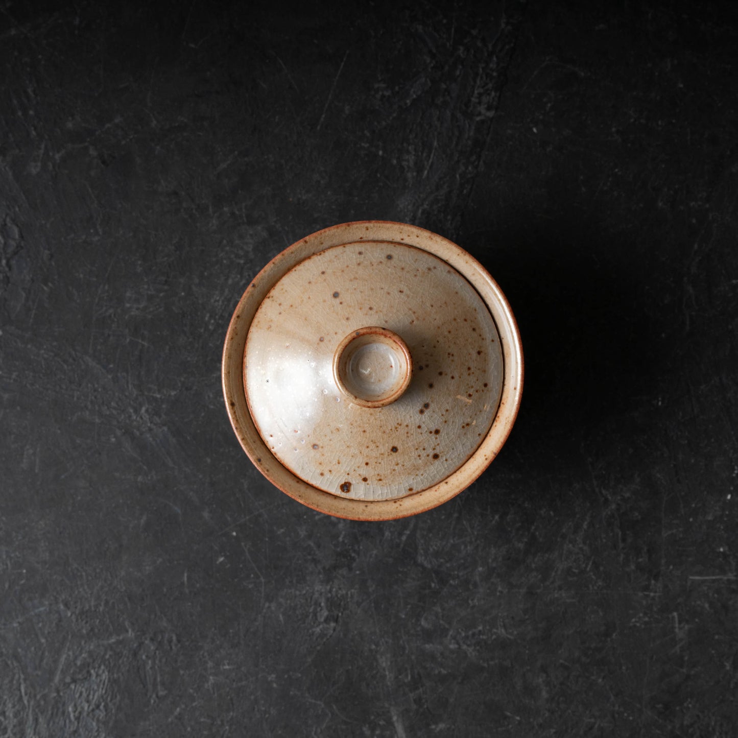 Shino Stoneware Gaiwan - B