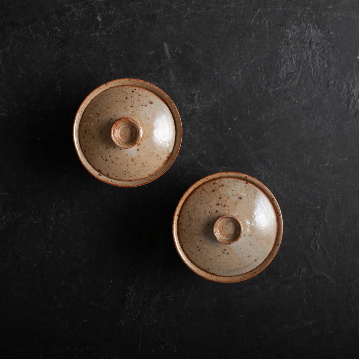 Shino Stoneware Gaiwan - C
