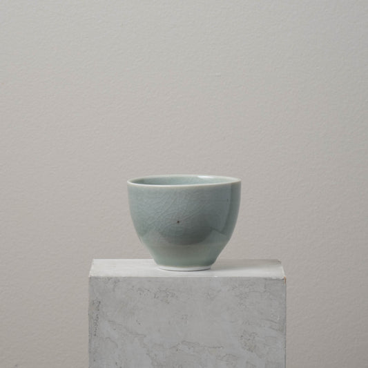 Celadon Short Tumbler