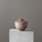 Gaiwan - Wisconsin