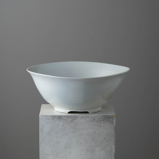 Porcelain Bowl