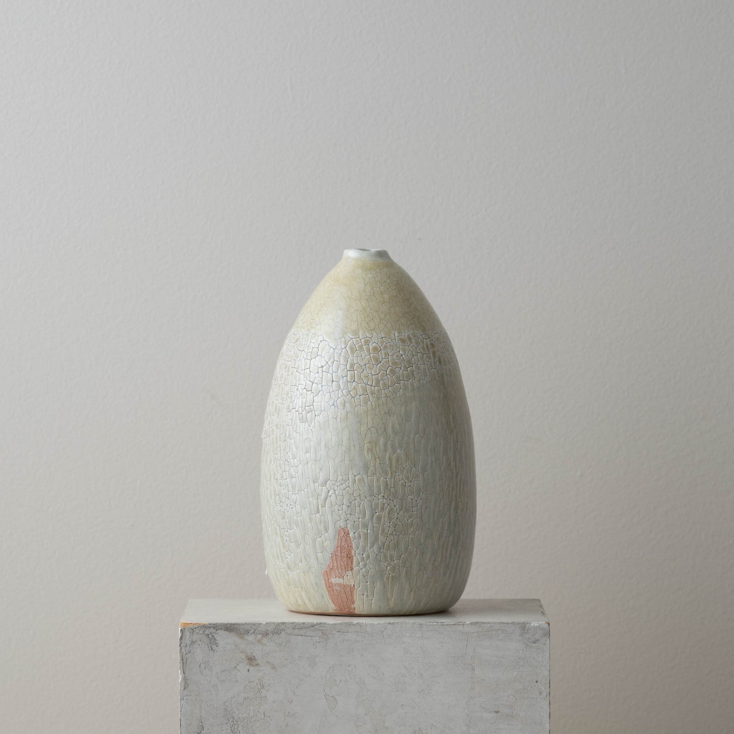Crackle Vase 5