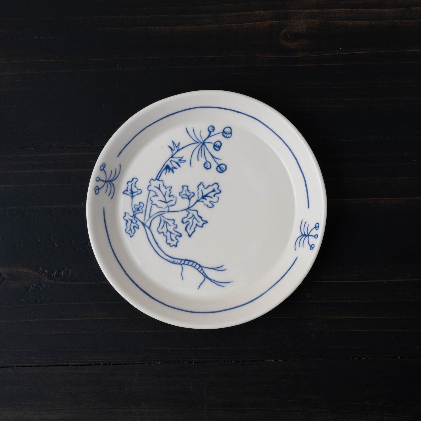 Cilantro Catchall