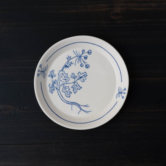 Cilantro Catchall