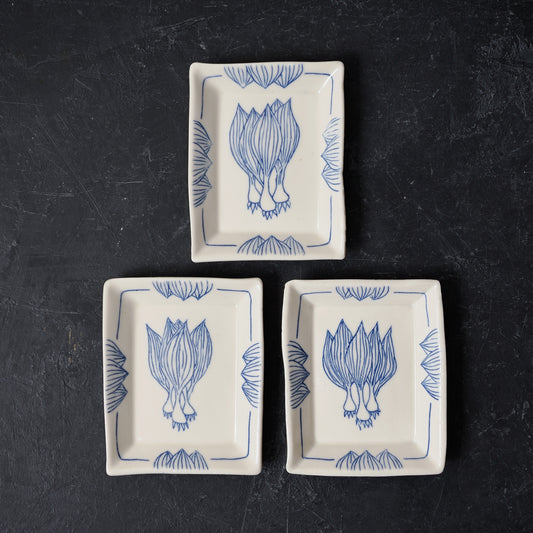 Ramp Rectangle Dish